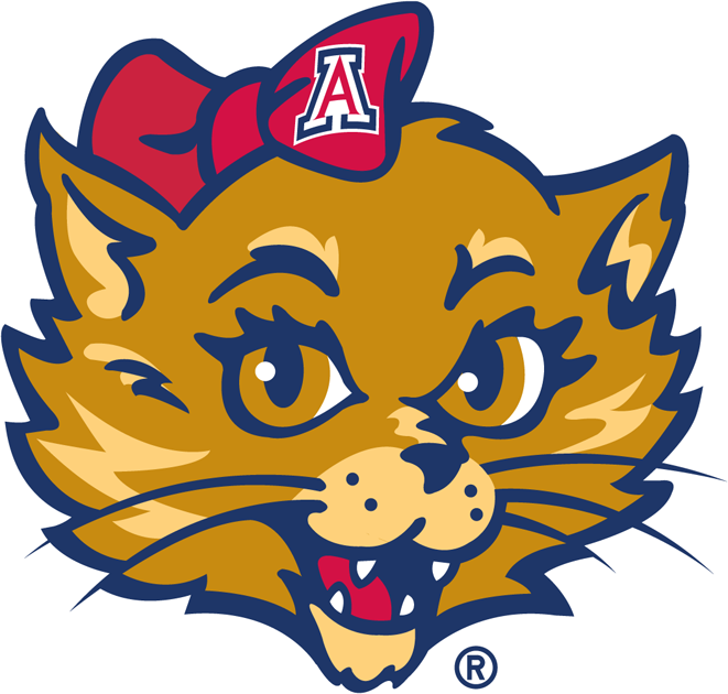 Arizona Wildcats 2003-Pres Mascot Logo v3 iron on transfers for clothing...